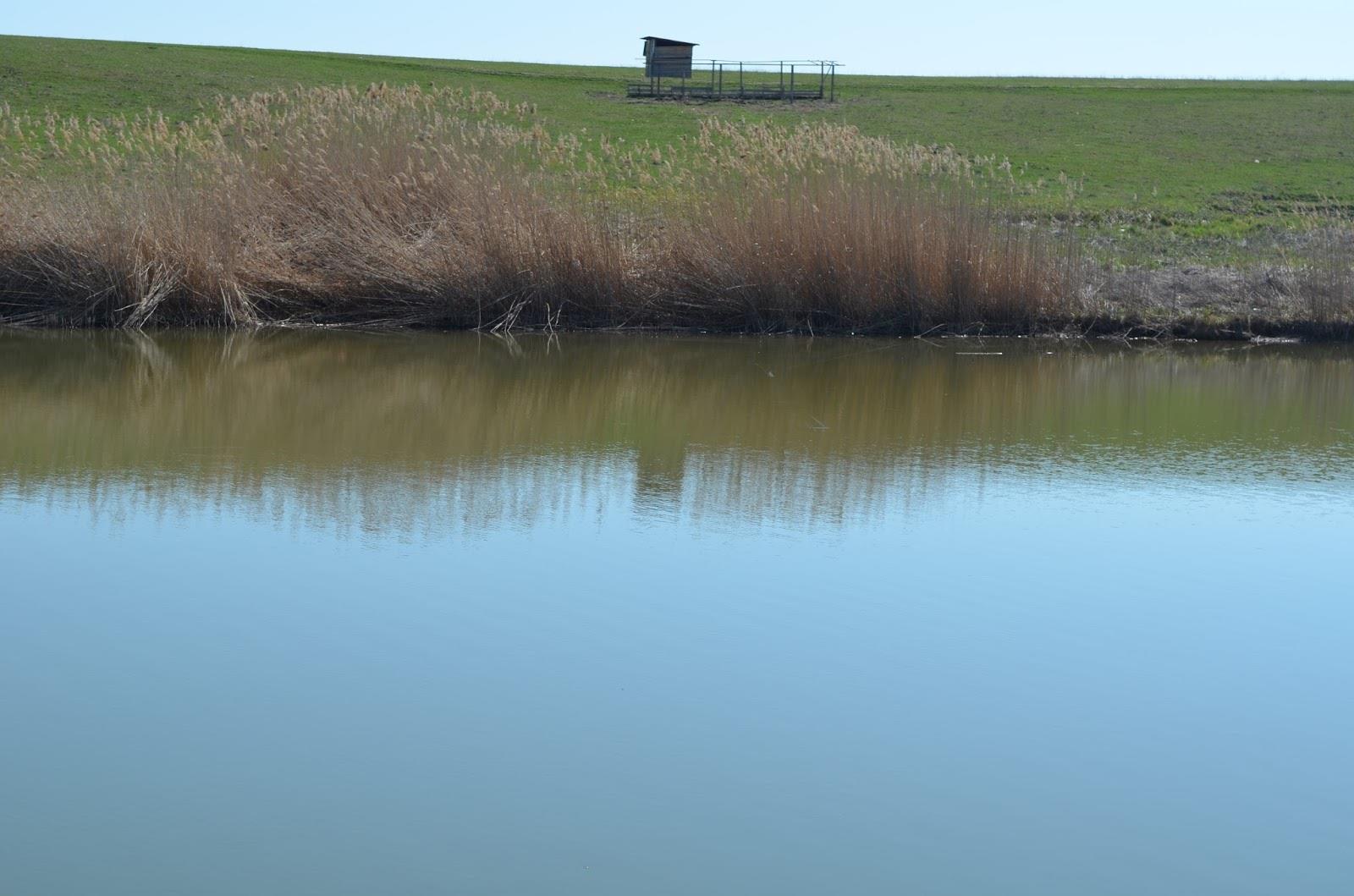 Teslui 2014 - part 2 - image11111111111111.jpg